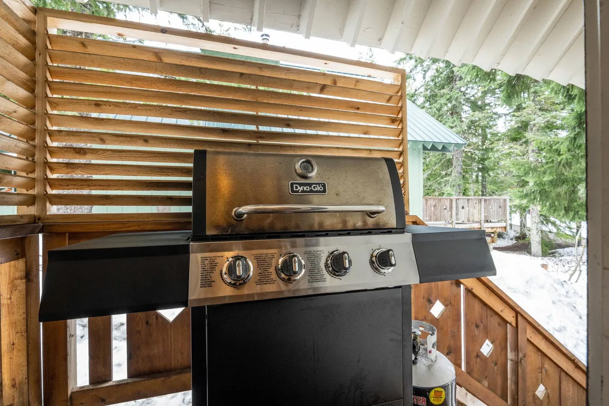 This exterior image shows a grill, wooden slats, and surrounding trees, suggesting a relaxed area for barbecuing, outdoor dining, or enjoying the fresh mountain air. The natural setting emphasizes communal outdoor activities and the connection between the home and the surrounding landscape.