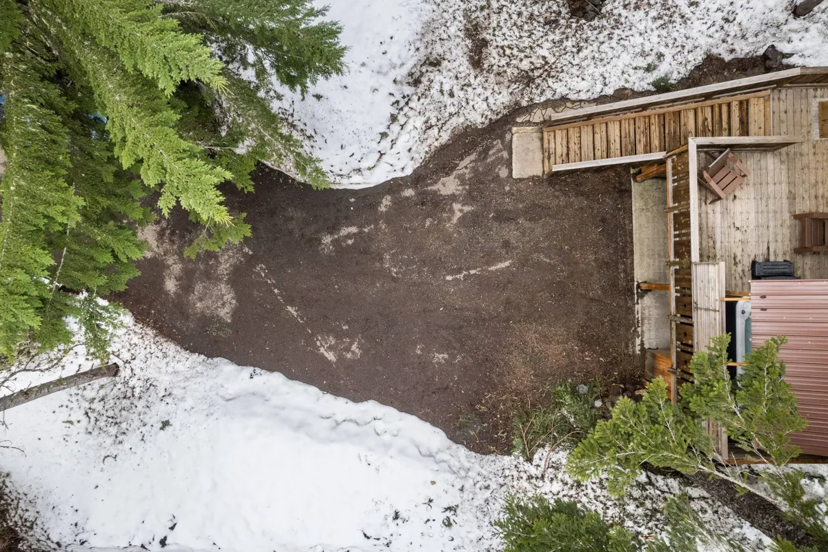 This image captures an exterior scene featuring an asphalt pathway leading to a wooden deck, surrounded by tall trees and a snowy landscape. The serene setting evokes the feeling of being immersed in nature, with clear access to outdoor trails and spaces ideal for walks with pets.